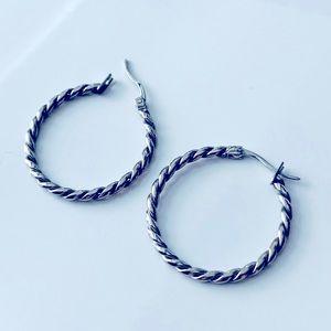 Titanium Tini Lux Large Getaway Hoops (32mm)